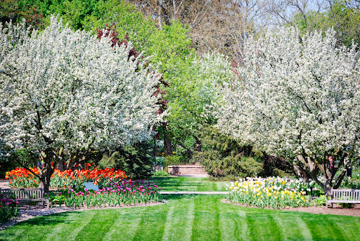 ComForCare Home Care in Lombard, IL - Lombard